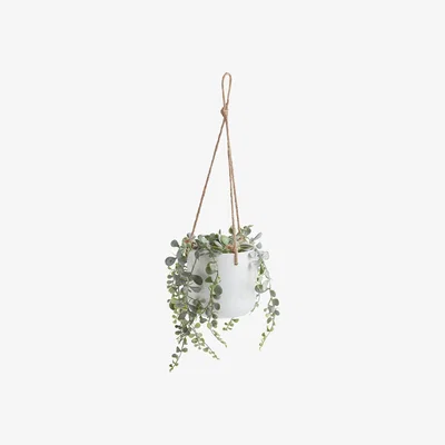 Habitat Habitat Trailing Hanging Plant in Ceramic Pot - White