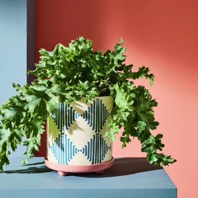 Habitat Habitat Harlequin Ceramic Blue Planter with Saucer