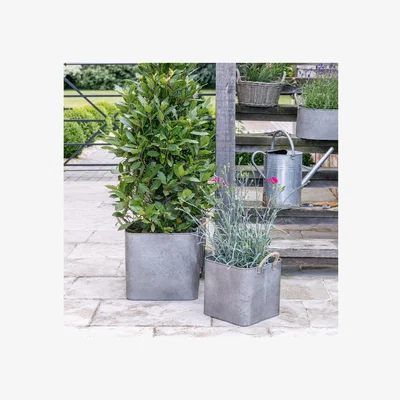 Habitat Ivyline Outdoor Galvanised Rope Handle Square Planters