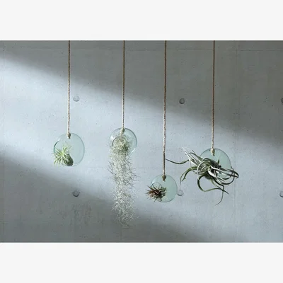 Heal's LSA International Canopy Recycled Glass Hanging Planter Medium - Heal's UK Bedroom Furniture