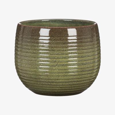 Homebase Jungle Green Plant Pot - 16cm