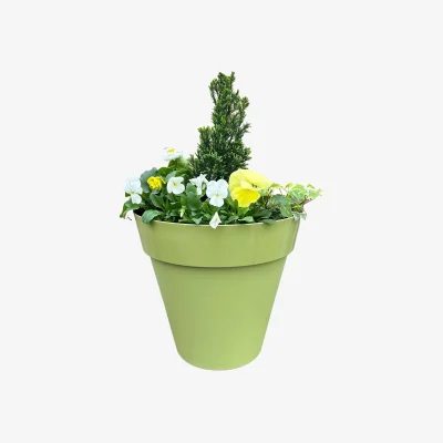 Homebase Primrose mixed Trends Round Planter 29cm Spring