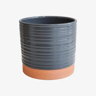 Homebase Ivyline Bramwell Terracotta Bluebell Indoor Planter - 19.5cm