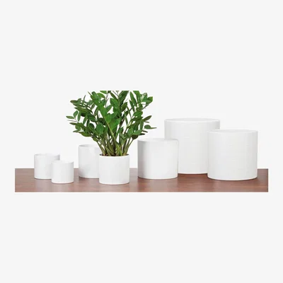 Homebase White Plant Pot - 14cm