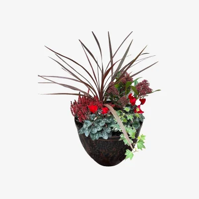 Homebase Christmas Chengdu Mixed Planter 30cm