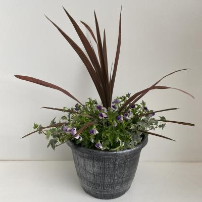 Homebase Planter Premium Selection Autumn - 30cm