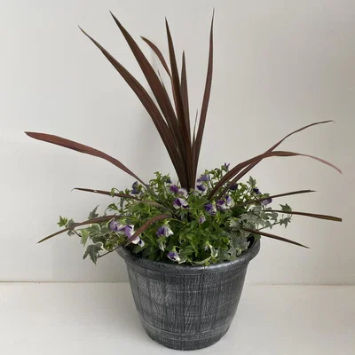 Homebase Planter Premium Selection Autumn - 30cm