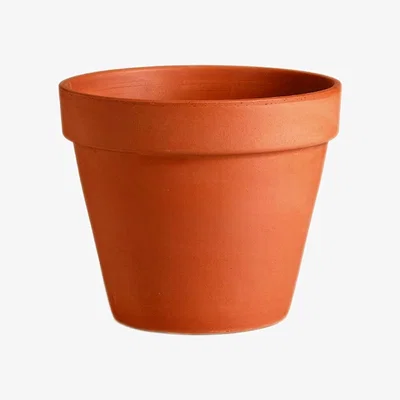 Homebase Terracotta Plant Pot - 11cm