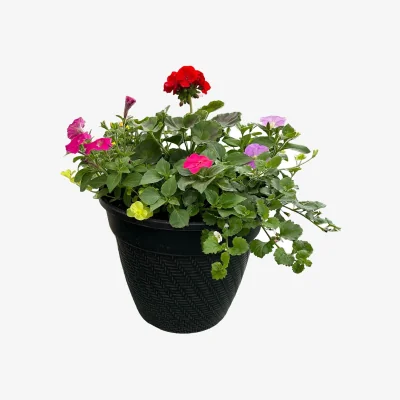 Homebase Rattan Effect Planter Assorted Planting mix - 30cm
