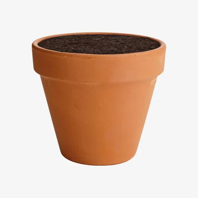 Homebase Terracotta Plant Pot - 15cm