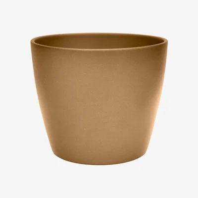 Homebase Ivyline Ceramic Gold Poinsettia Indoor Planter - 14.5cm
