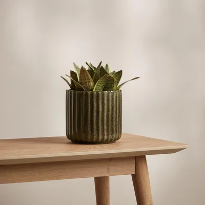 IO Living Selset Plant Pot Medium Green