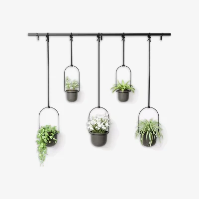 John Lewis Umbra Triflora Hanging Planter, 5 Pot