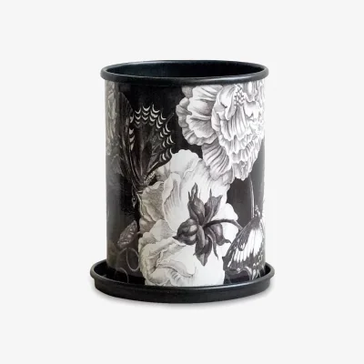 John Lewis Ivyline Kew Gardens Eclectic Orangery Indoor Planter & Saucer, H10cm, Noir