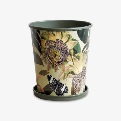 John Lewis Ivyline Kew Gardens Retreat Indoor Planter & Saucer, H18cm, Green/Multi