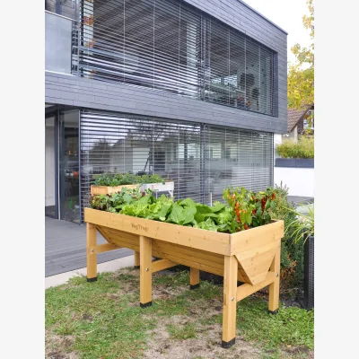 John Lewis VegTrug Outdoor Medium Planter, 183cm, FSC-Certified (Cedar Wood)