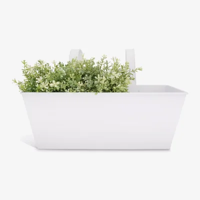 John Lewis Fallen Fruits Balcony Planter, White