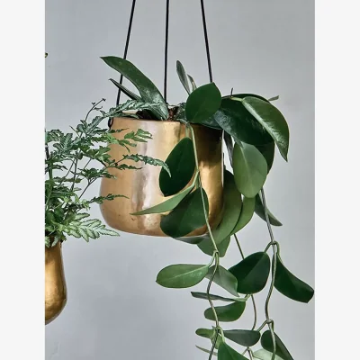 John Lewis Nkuku Atsu Hanging Brass Planter