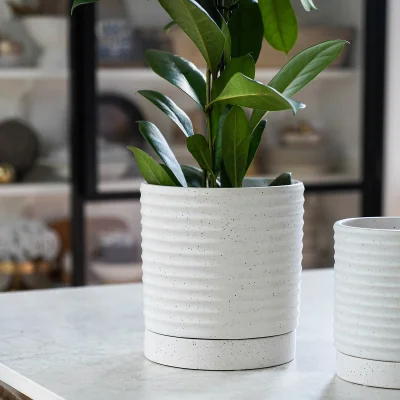La Redoute 19.5cm Bespoke Luna Stoneware Planter & Saucer