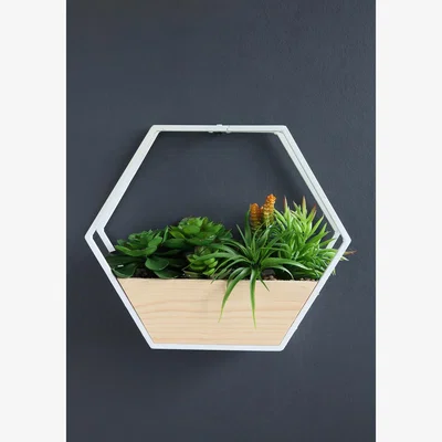 La Redoute 30.5cm Artificial Succulents in White Hexagon Planter