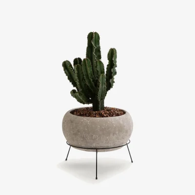 La Redoute Ollam 35cm Diameter X 29cm High Cement Plant Pot