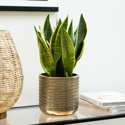 La Redoute 18cm Solis Embossed Small Planter Gold