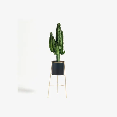 La Redoute Inaya Metal and Brass Plant Pot & Stand