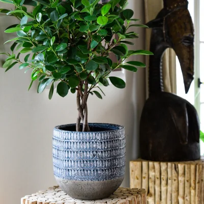 La Redoute 20cm Treviso Planter