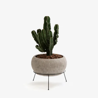 La Redoute Ollam Cement Plant Pot