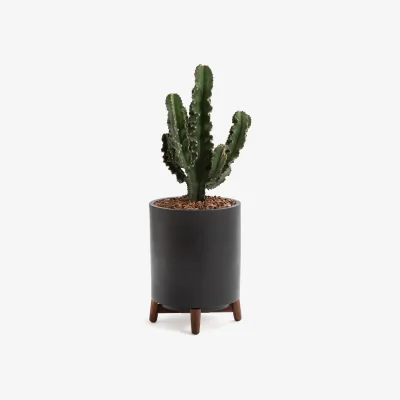La Redoute Florian Planter on Stand in Ceramic & Walnut