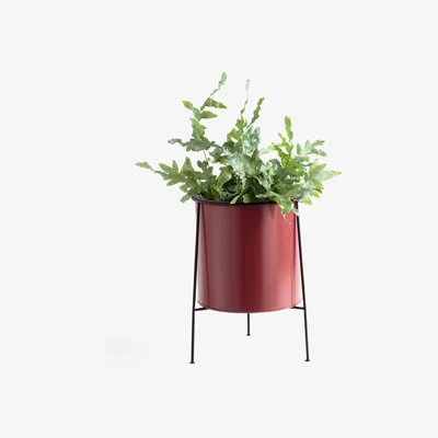 La Redoute Inaya Painted Metal Flower Pot with Metal Base