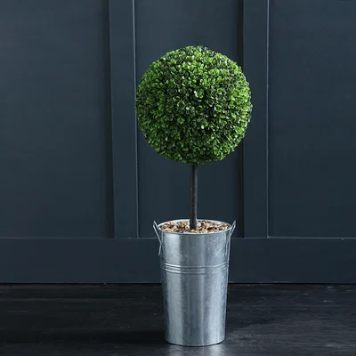 La Redoute 82cm Ball Boxwood Topiary in Metal Pot