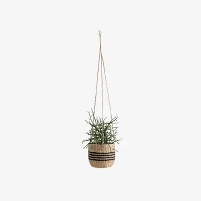 La Redoute Mila Woven Grass Hanging Planter