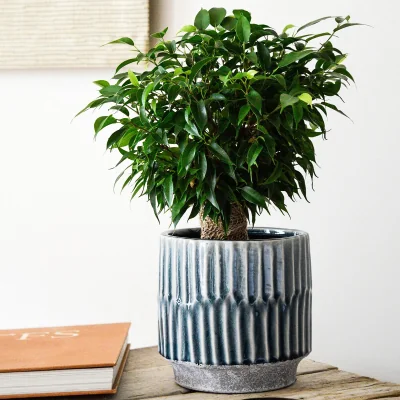 La Redoute 20cm Onno Small Denim Blue Planter