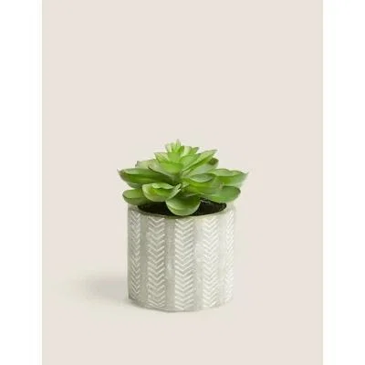 Marks & Spencer M&S Artificial Mini Echeveria in Concrete Pot - Green, Green