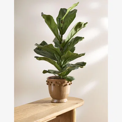 Marks & Spencer M&S Glazed Ceramic Planter - Neutral, Neutral