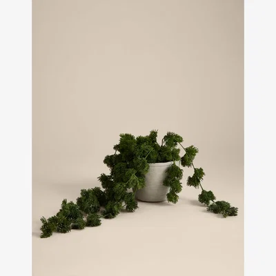 Marks & Spencer Moss & Sweetpea Artificial Trailing Moss in Concrete Pot - Green, Green