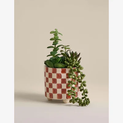 Marks & Spencer Moss & Sweetpea Artificial Succulent Family in Checked Pot - Red, Red