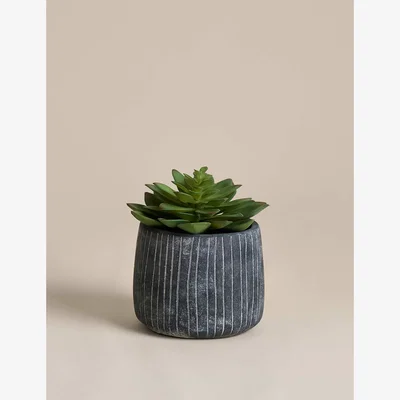 Marks & Spencer M&S Artificial Succulent in Ridged Cement Pot Green