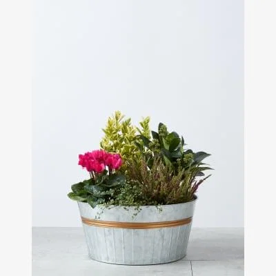Marks & Spencer M&S  Autumn Tin Planter