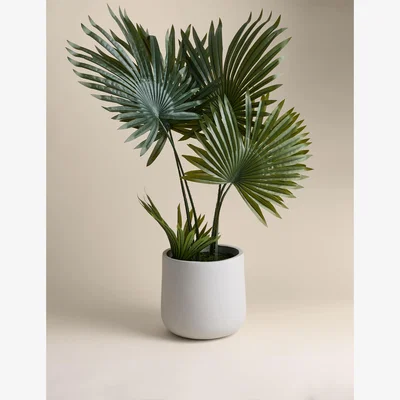 Marks & Spencer Moss & Sweetpea Artificial Floor Standing Fern House Plant - White, White