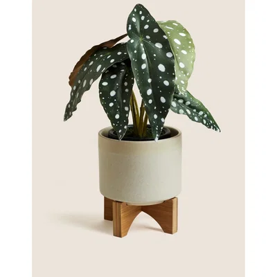 Marks & Spencer M&S Small Ceramic Planter - Natural, Natural