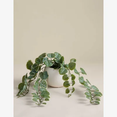 Marks & Spencer M&S Artificial Trailing Eucalyptus in Pot Green