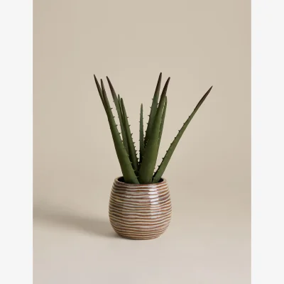 Marks & Spencer M&S Artificial Aloe Vera in Ceramic Pot Natural