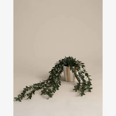 Marks & Spencer M&S Artificial Trailing Boxwood in Stripe Ceramic Pot Green