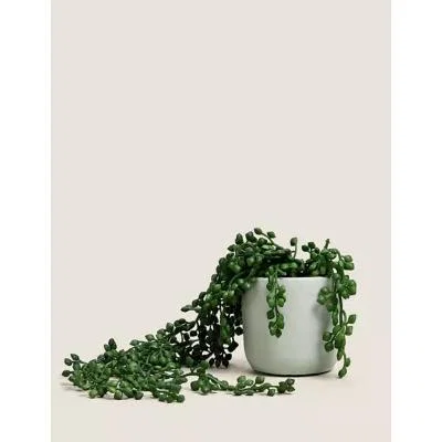 Marks & Spencer M&S Artificial Mini Trailing Plant in Pot - Green, Green