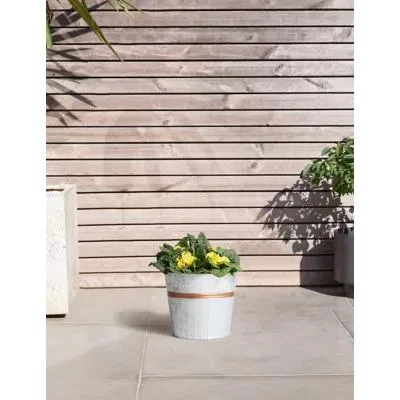 Marks & Spencer M&S Primrose Tin Planter (Delivery from 15th February 2022)