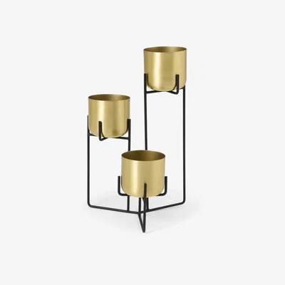 Made.com Salix Set of 3 Tiered Planters with Stands, Brass & Black