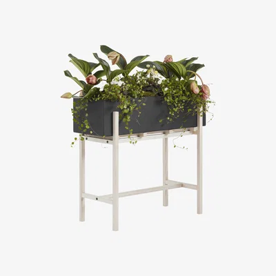 Made in Design Botanic Stand Standing flowerpot - / 70 x 29 x H 59 cm by Design House Stockholm Black