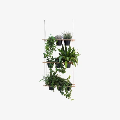 Made in Design Etcetera Planter - Vegetal screen by Compagnie Natural wood